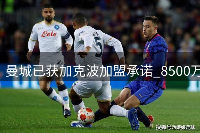 曼城已获加克波加盟承诺 8500万转会只待利物浦引援