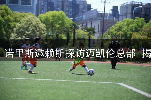 诺里斯邀赖斯探访迈凯伦总部 揭秘F1赛场背后的科技传承